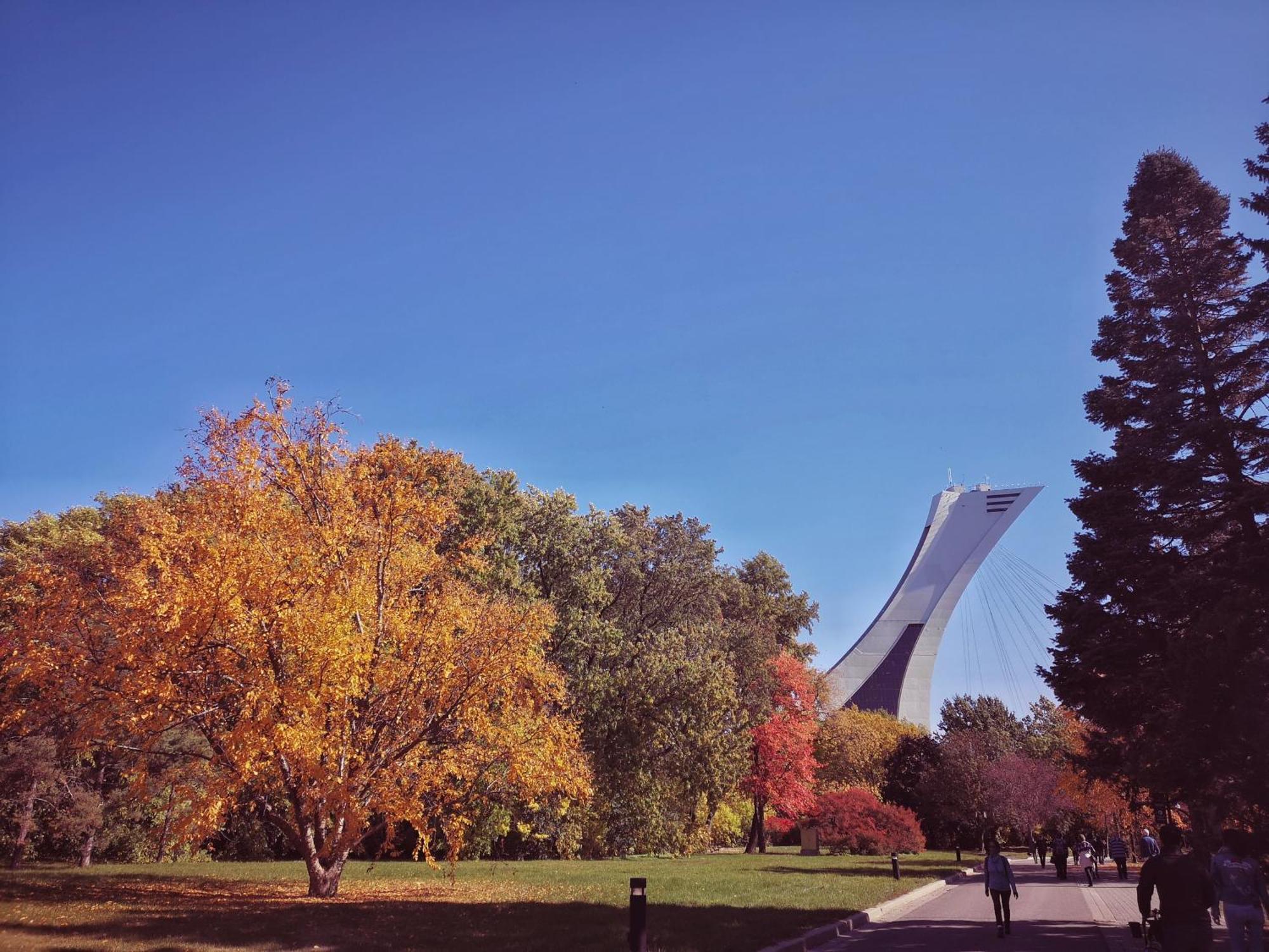 Homa Homestay Hotel By Olympic Stadium Montreal Auberge-Hostel Exterior foto